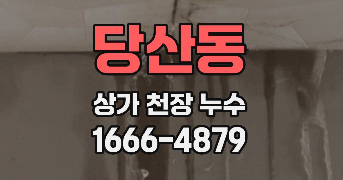 당산동 상가 천장 누수