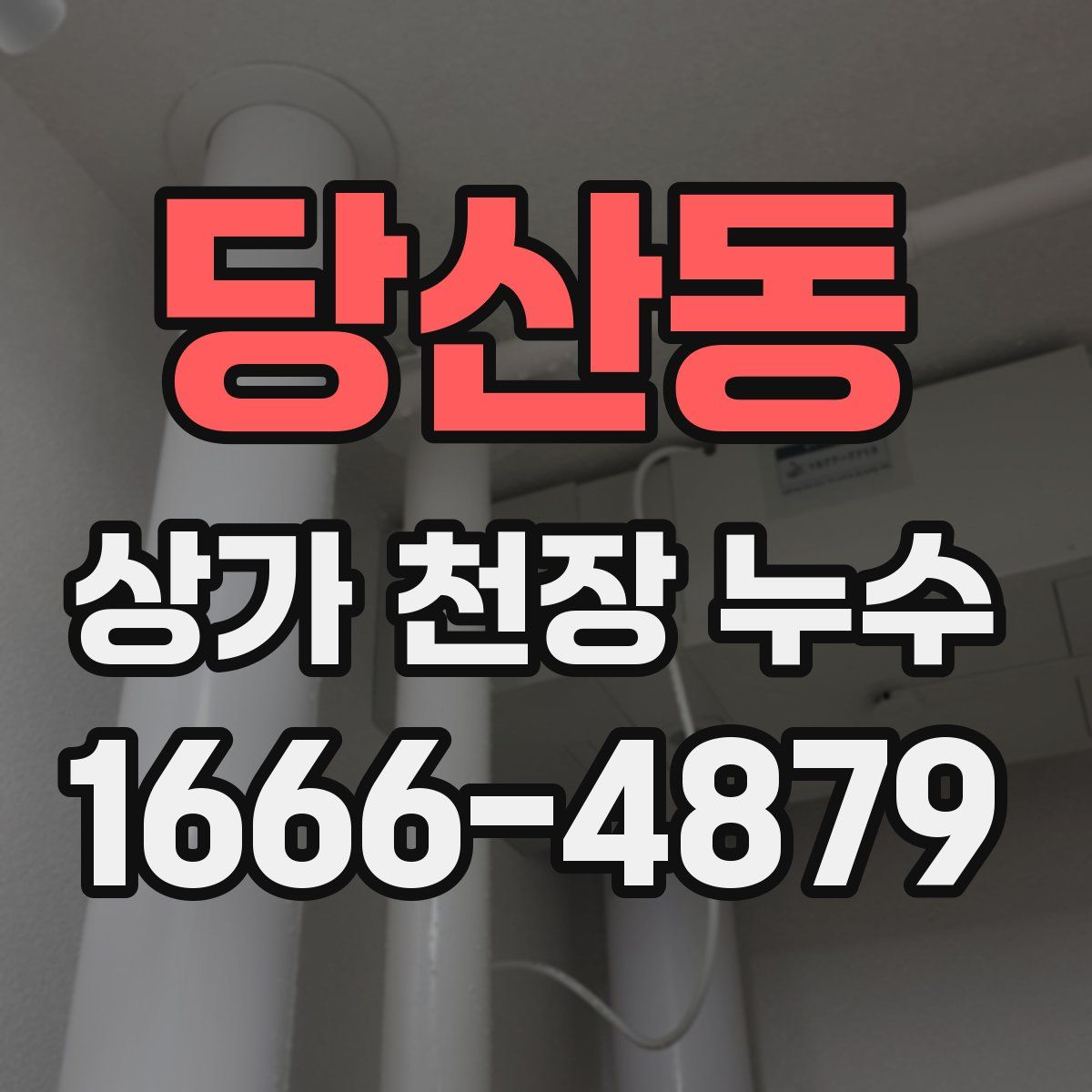 당산동 상가 천장 누수