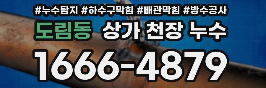 도림동 상가 천장 누수