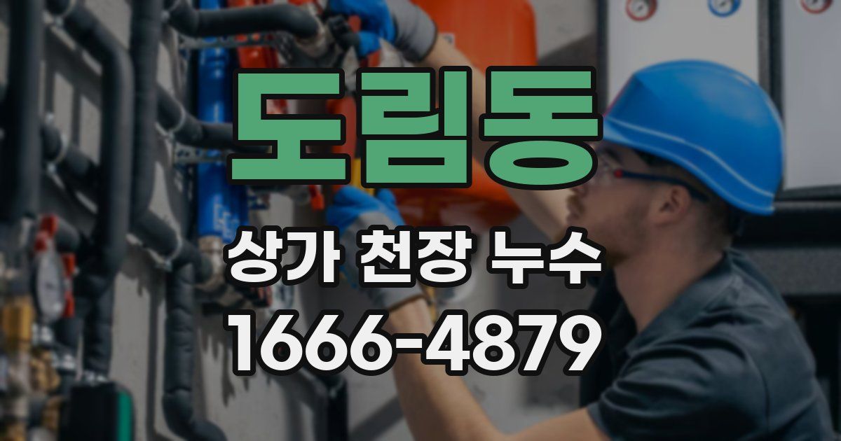 도림동 상가 천장 누수