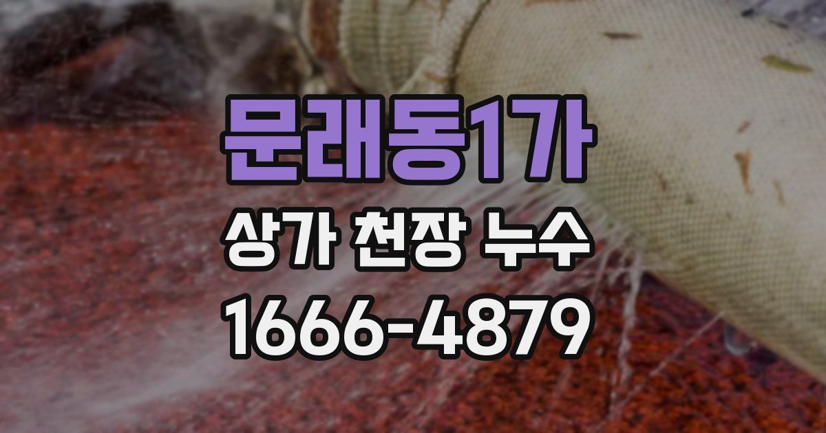문래동1가 상가 천장 누수