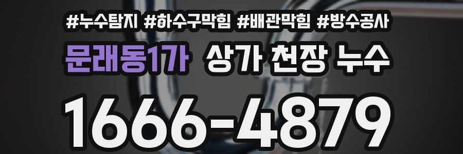문래동1가 상가 천장 누수