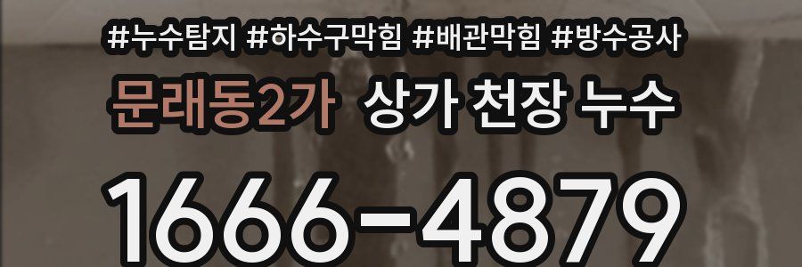 문래동2가 상가 천장 누수