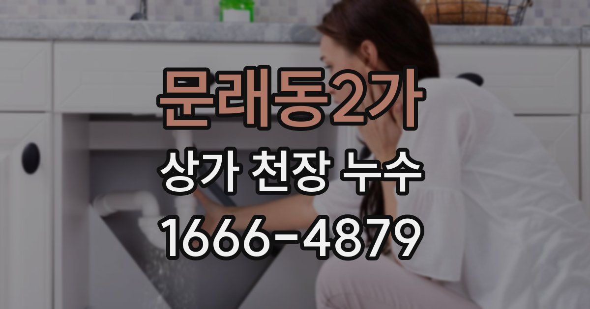 문래동2가 상가 천장 누수