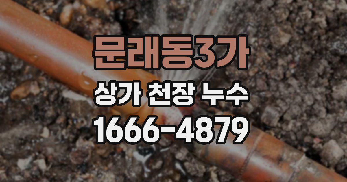 문래동3가 상가 천장 누수