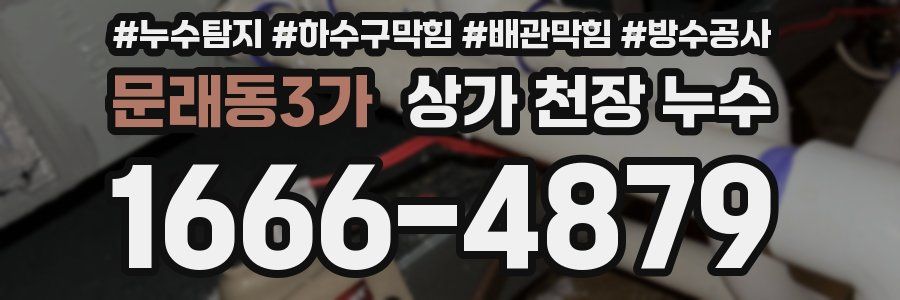 문래동3가 상가 천장 누수
