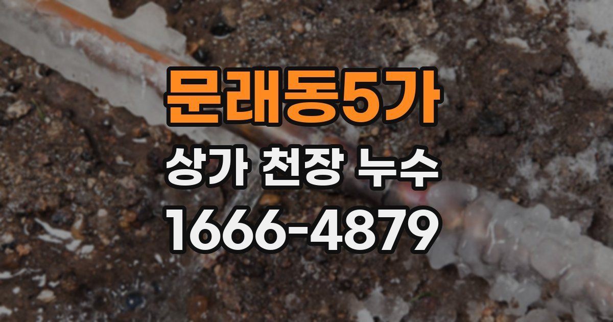 문래동5가 상가 천장 누수