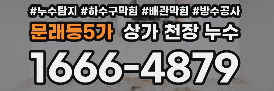 문래동5가 상가 천장 누수