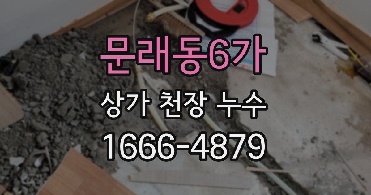 문래동6가 상가 천장 누수