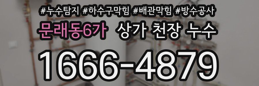 문래동6가 상가 천장 누수