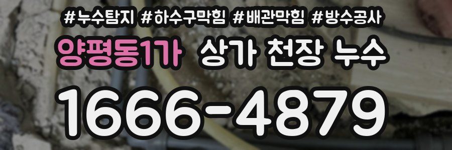 양평동1가 상가 천장 누수