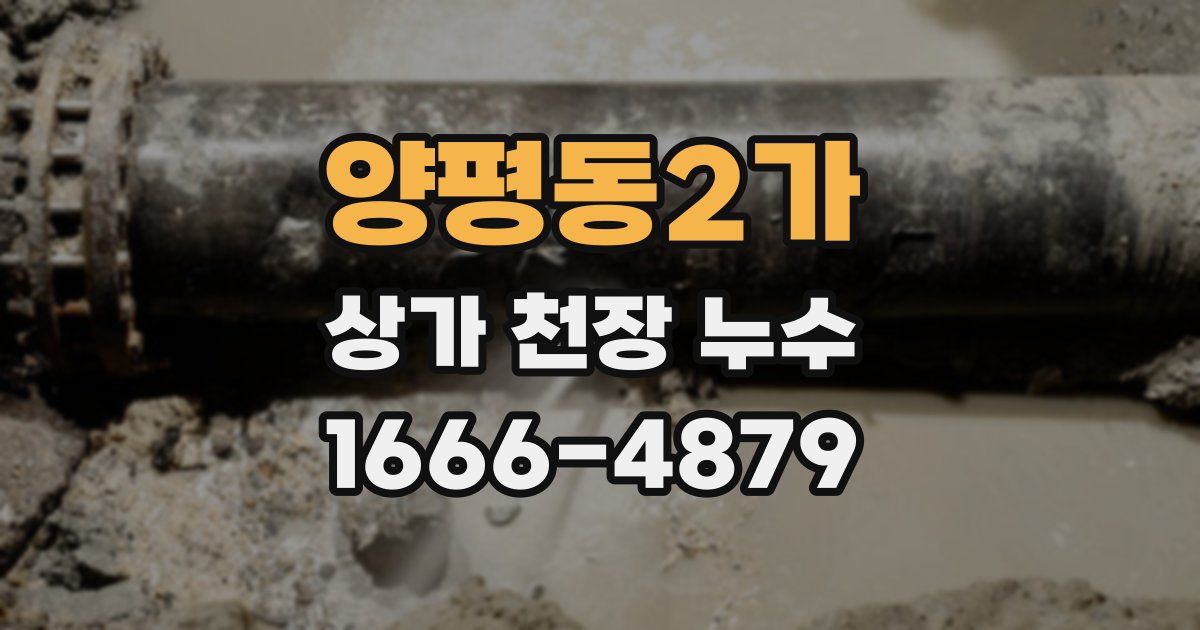 양평동2가 상가 천장 누수