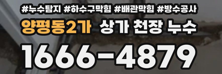 양평동2가 상가 천장 누수
