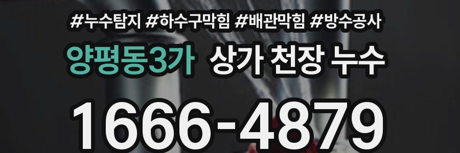 양평동3가 상가 천장 누수