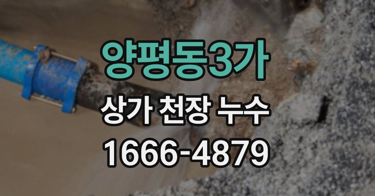 양평동3가 상가 천장 누수