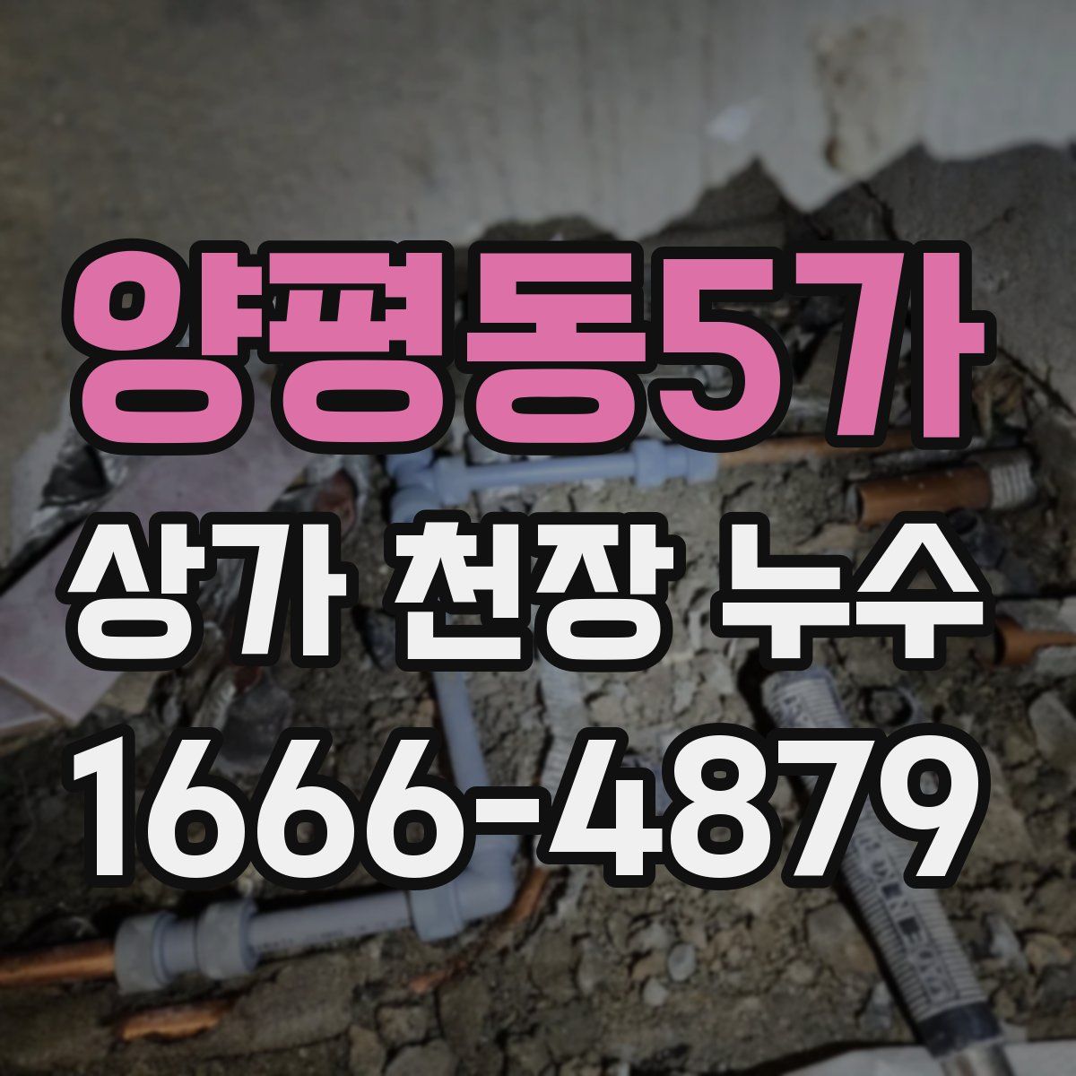 양평동5가 상가 천장 누수