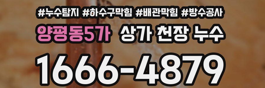 양평동5가 상가 천장 누수