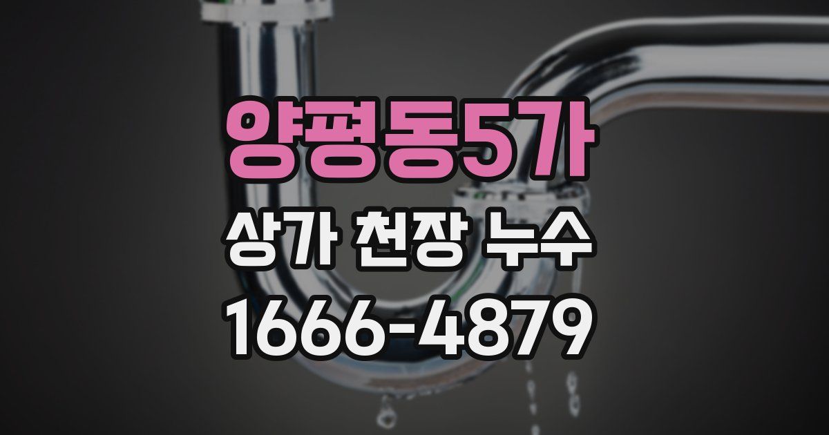 양평동5가 상가 천장 누수