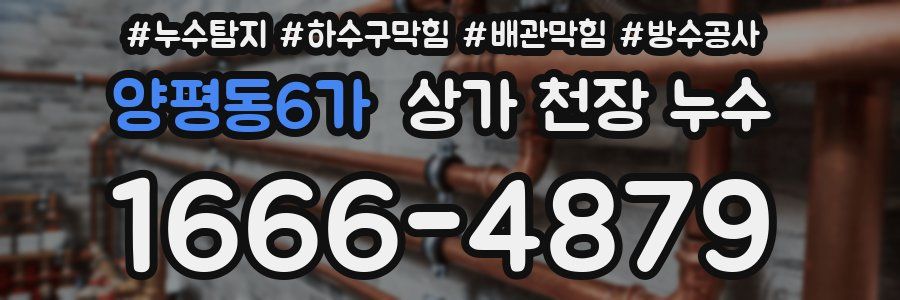 양평동6가 상가 천장 누수