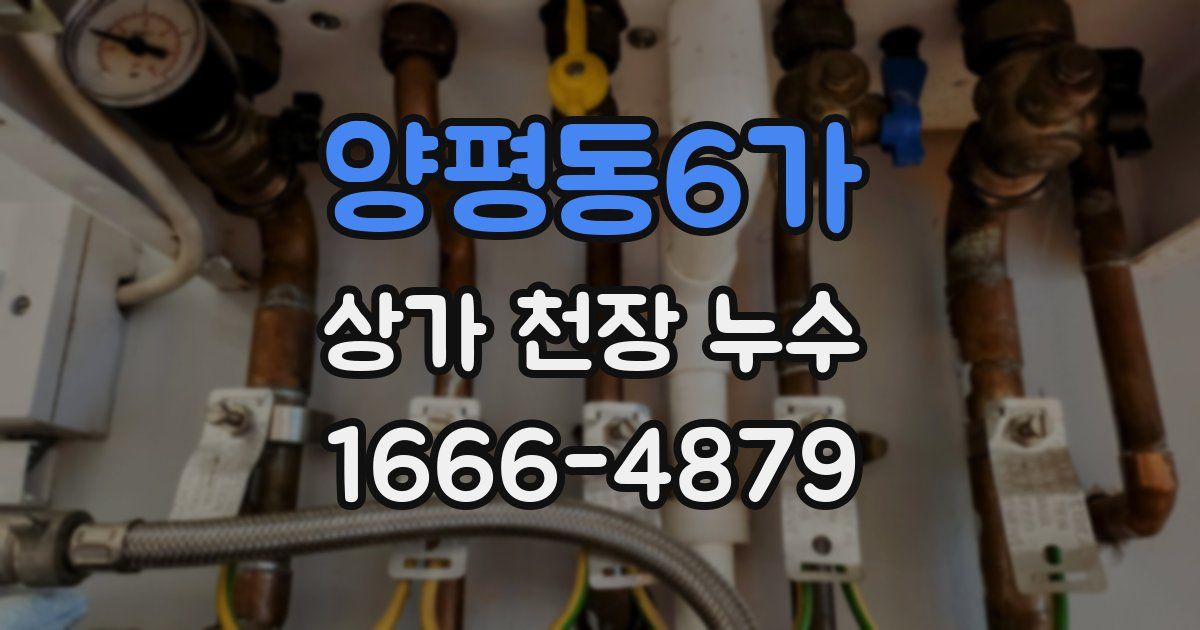 양평동6가 상가 천장 누수