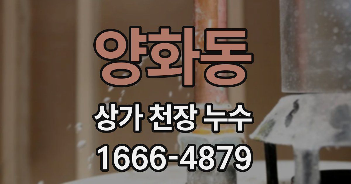 양화동 상가 천장 누수