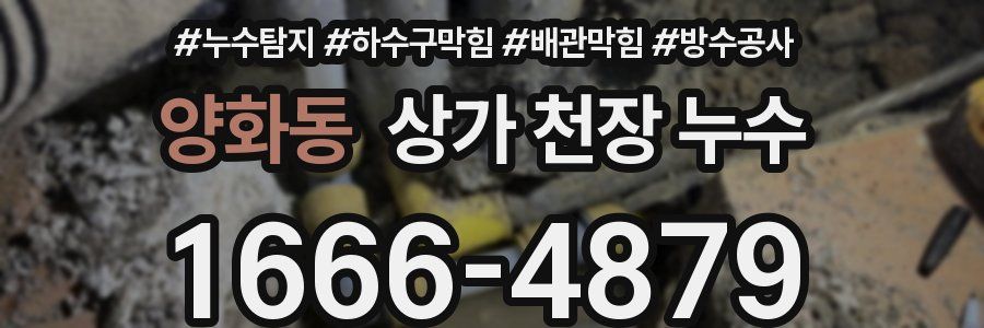 양화동 상가 천장 누수