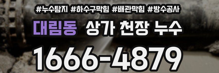 대림동 상가 천장 누수