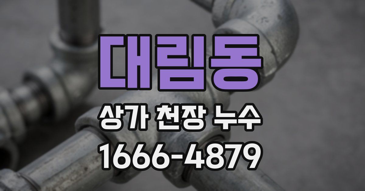 대림동 상가 천장 누수