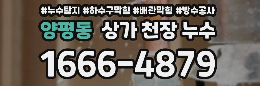 양평동 상가 천장 누수