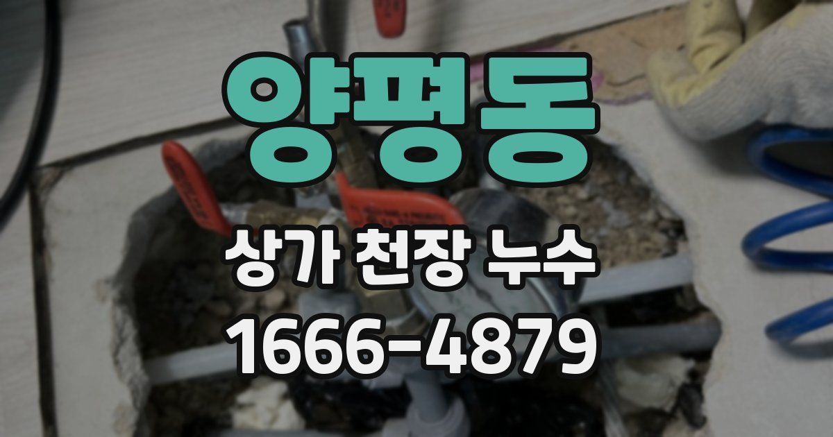 양평동 상가 천장 누수