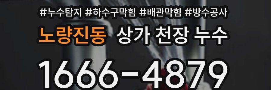 노량진동 상가 천장 누수