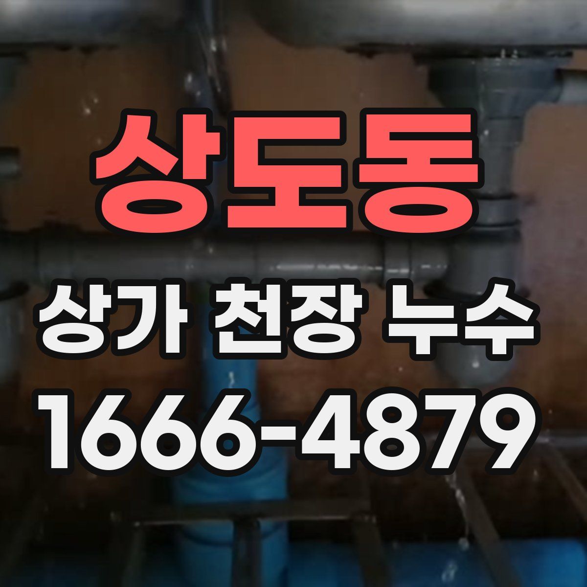 상도동 상가 천장 누수