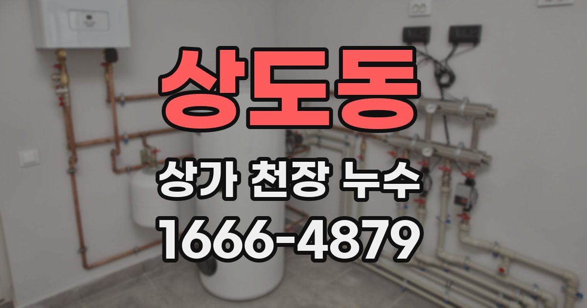상도동 상가 천장 누수