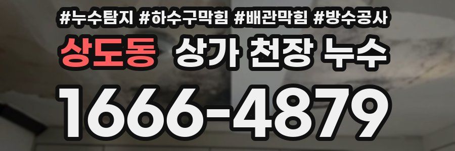 상도동 상가 천장 누수