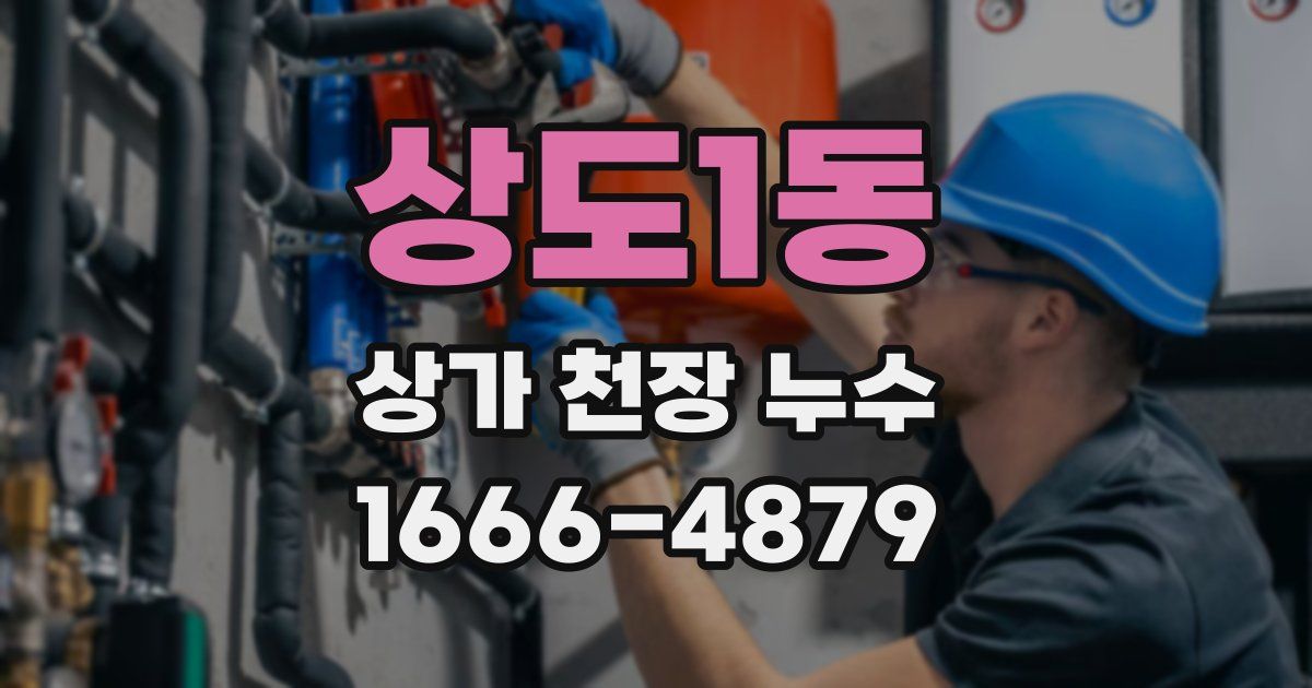 상도1동 상가 천장 누수
