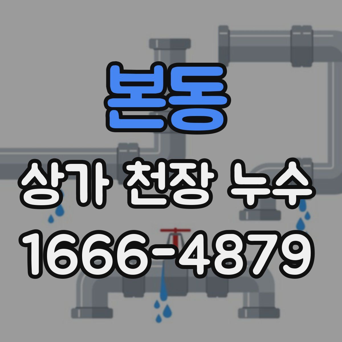 본동 상가 천장 누수