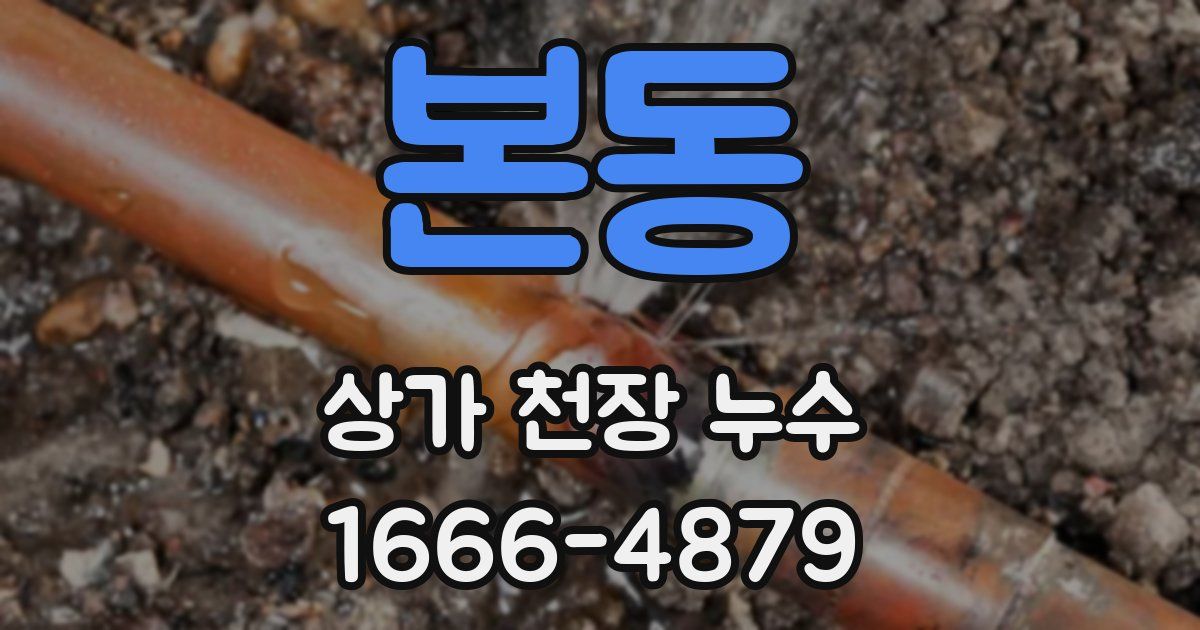 본동 상가 천장 누수