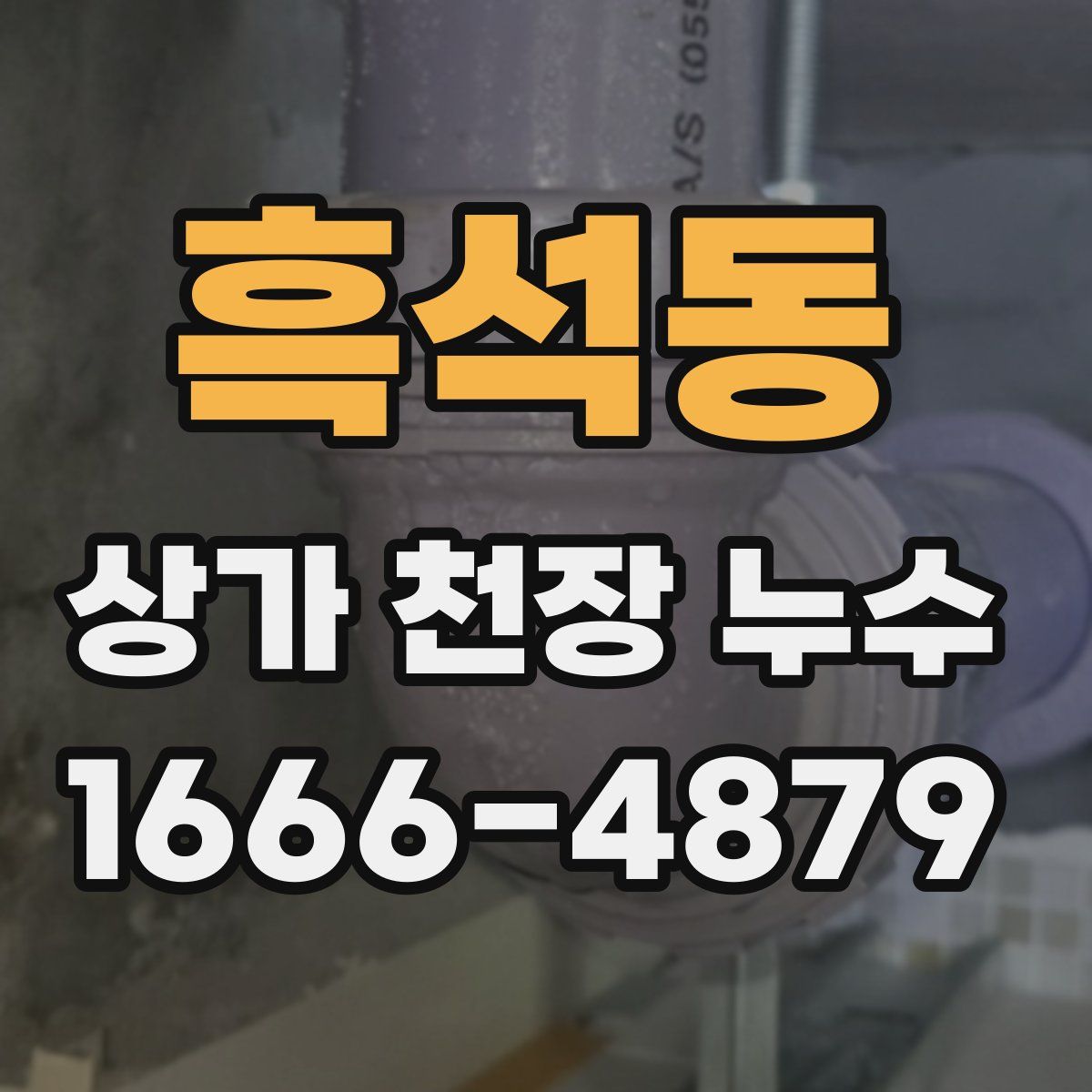 흑석동 상가 천장 누수