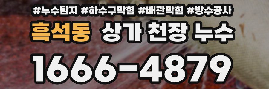 흑석동 상가 천장 누수