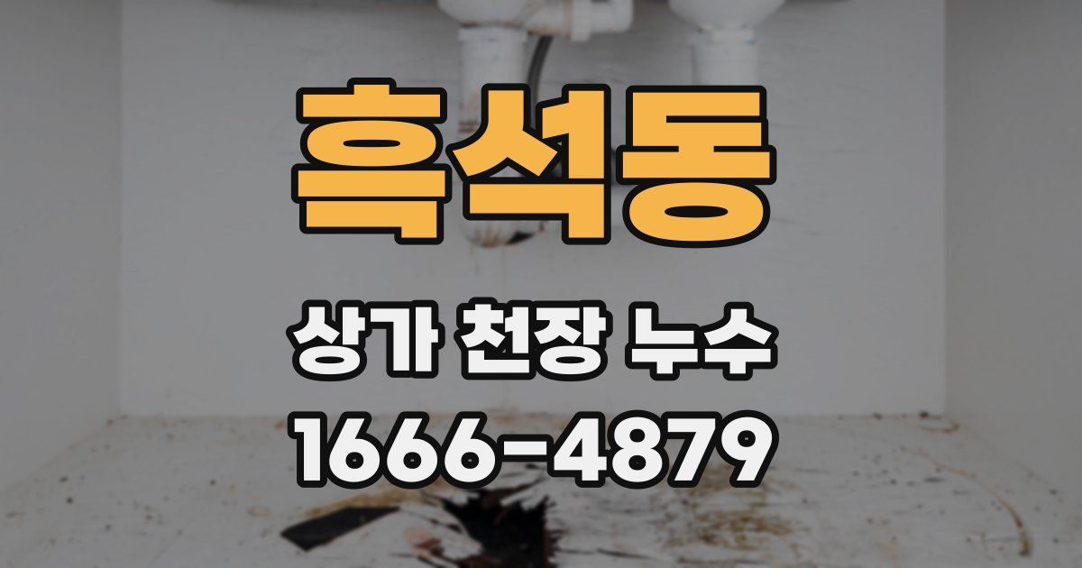 흑석동 상가 천장 누수
