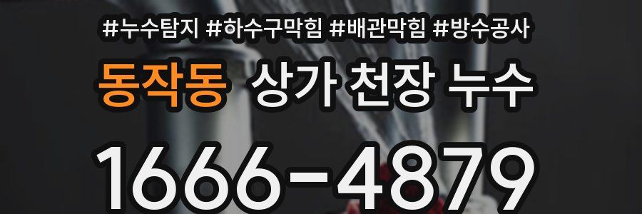 동작동 상가 천장 누수