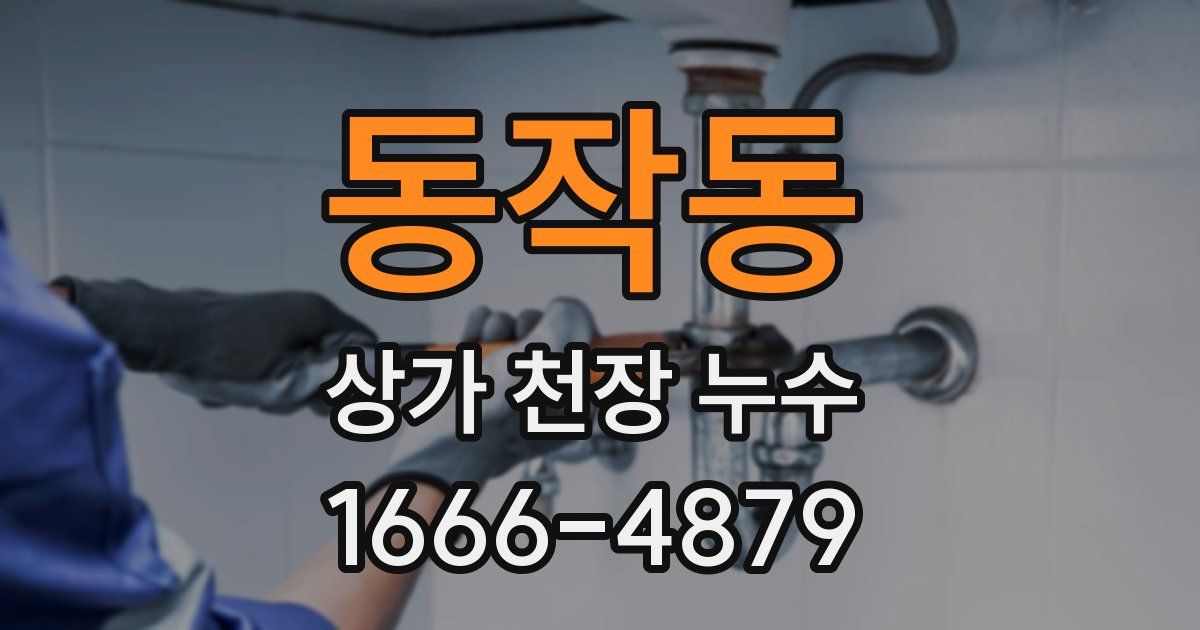 동작동 상가 천장 누수