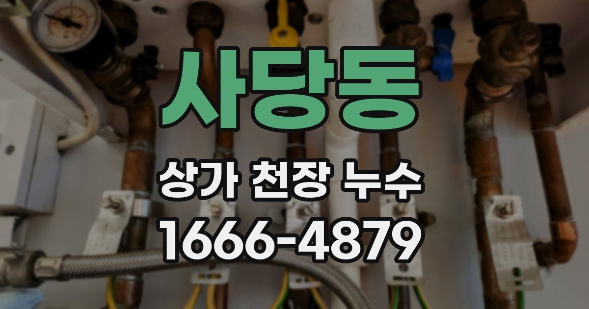사당동 상가 천장 누수