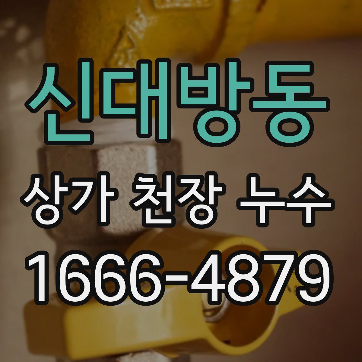 신대방동 상가 천장 누수