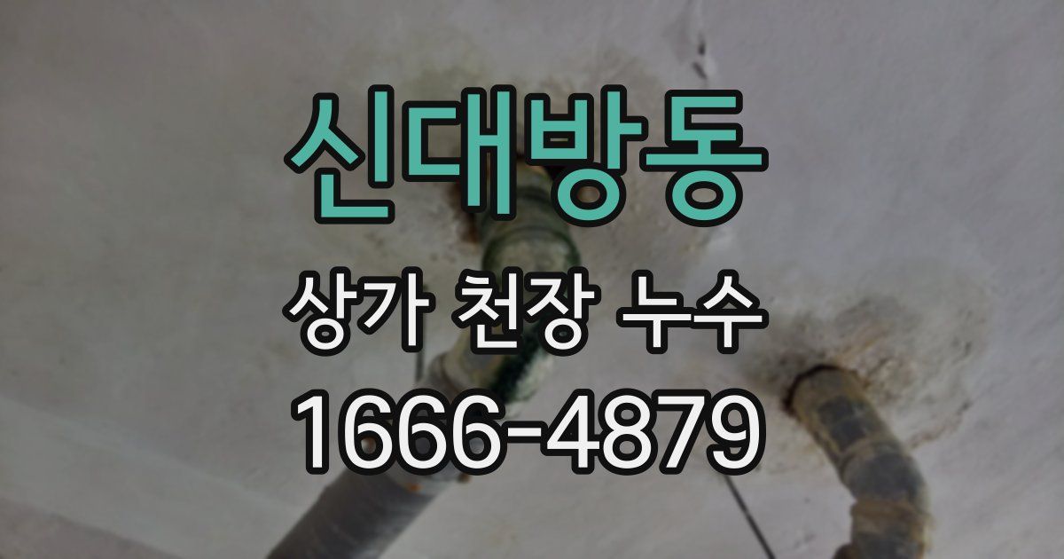 신대방동 상가 천장 누수