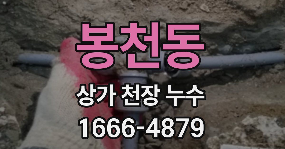 봉천동 상가 천장 누수