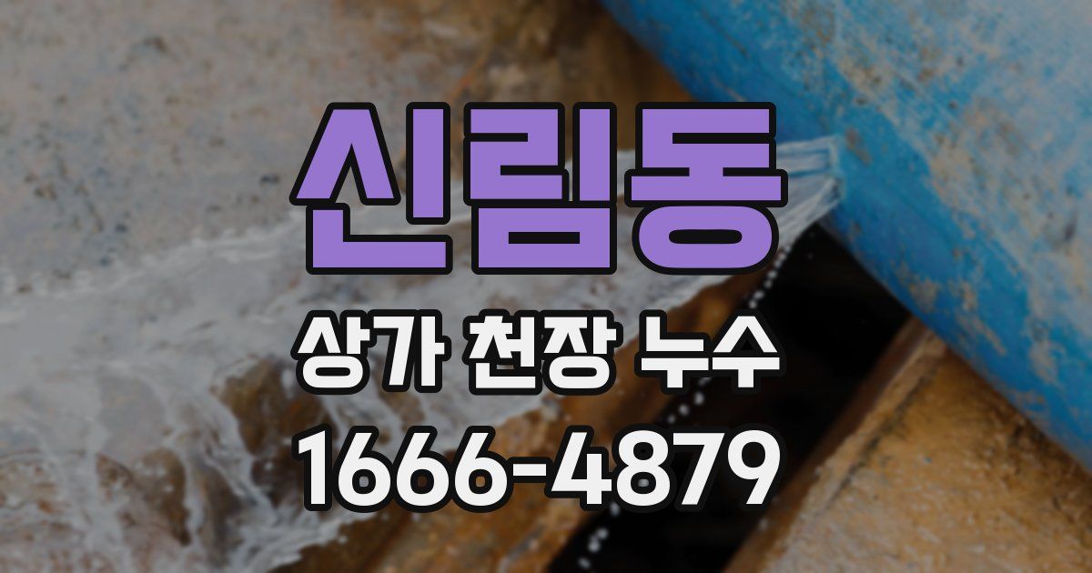 신림동 상가 천장 누수