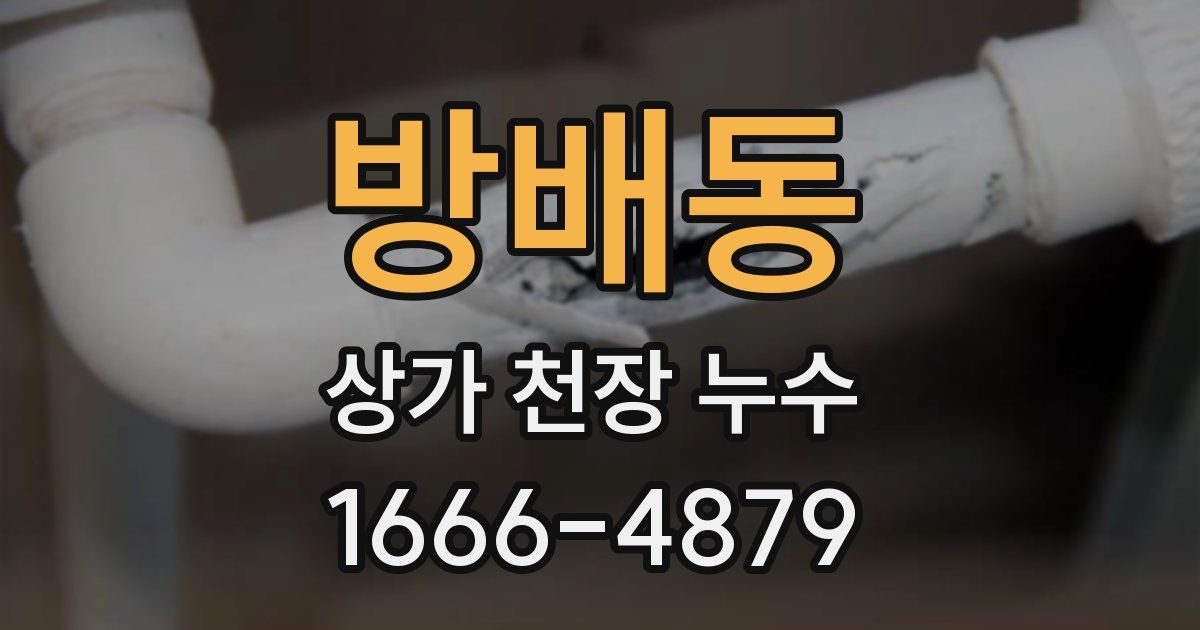방배동 상가 천장 누수