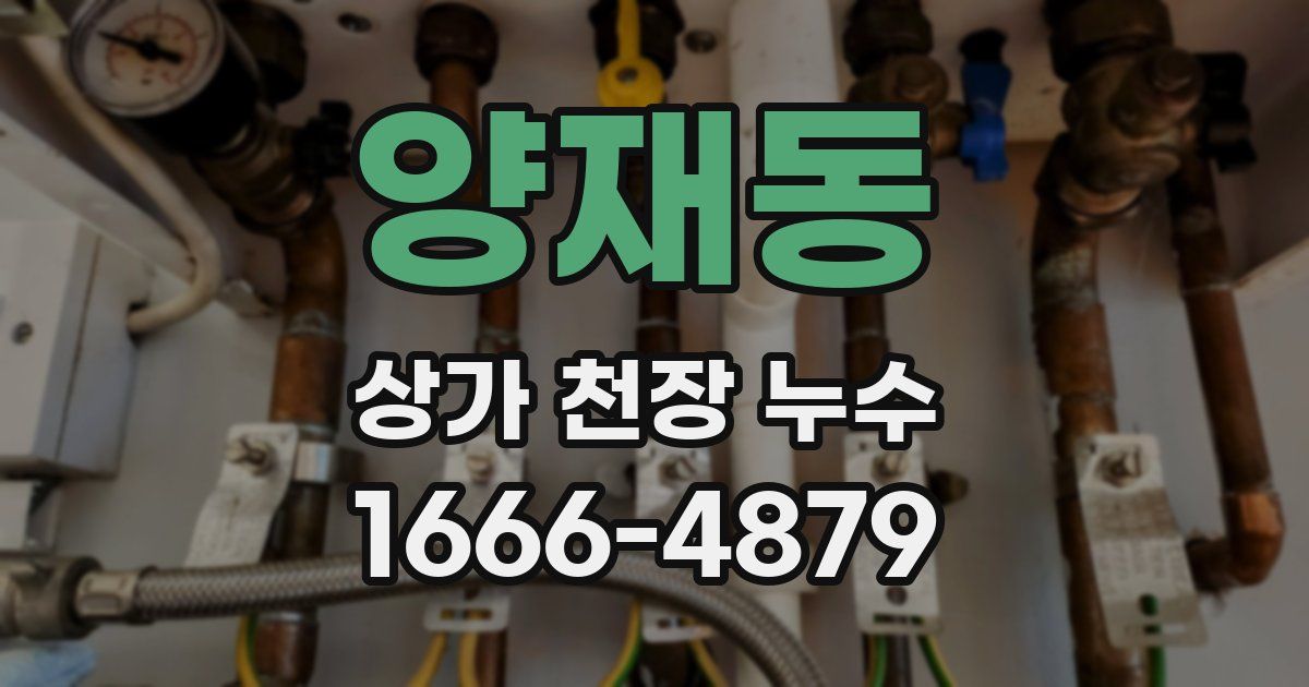 양재동 상가 천장 누수