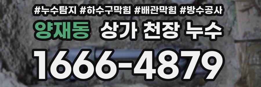 양재동 상가 천장 누수